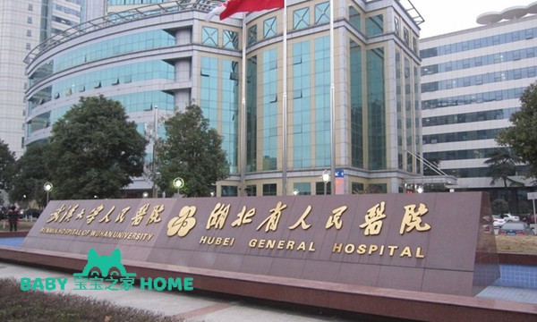 湖北省人民医院试管婴儿成功率