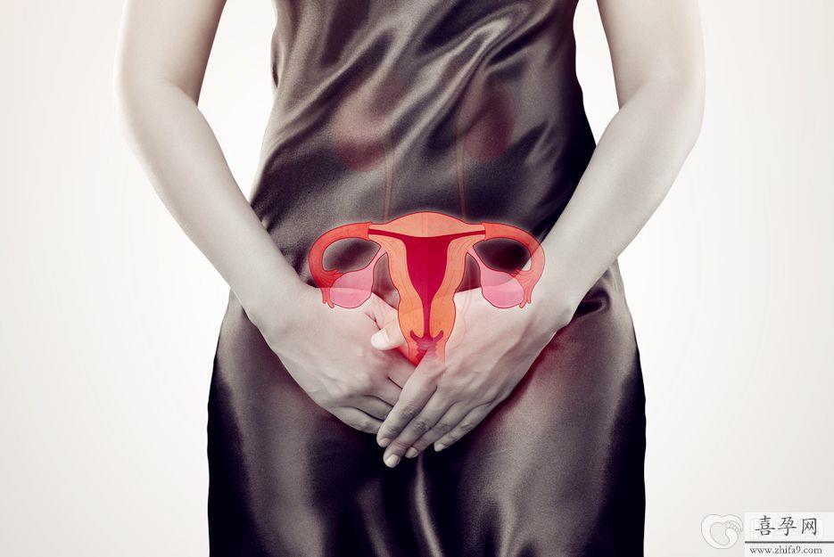 预防卵巢早衰吃什么？2024赠你5大预防卵巢早衰的食物 (3).jpg