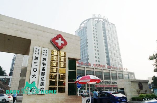 2024北京306医院试管婴儿成功率