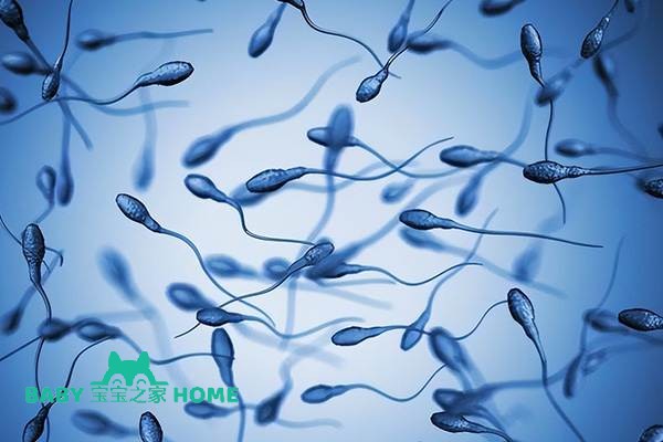 2024申请精子库精子有哪些流程