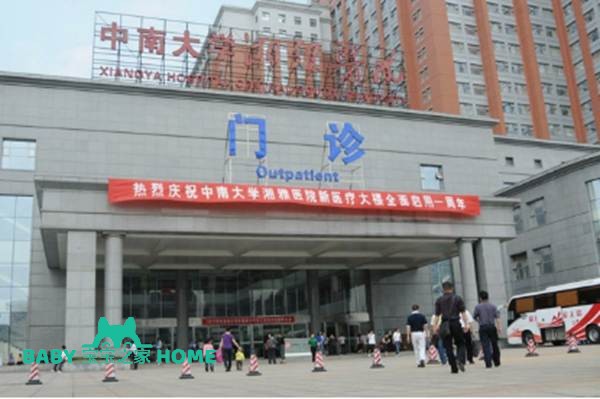 2024中南大学湘雅医院做试管婴儿生双胞胎多少钱