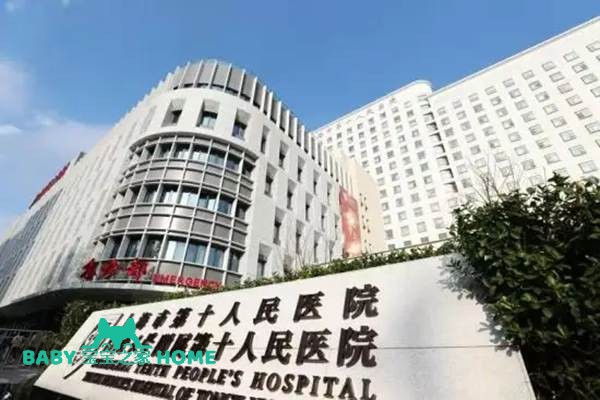 2024上海市第十人民医院试管婴儿成功率一览