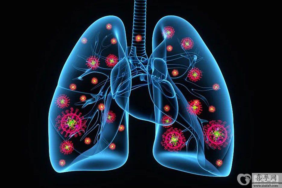 肺1.jpg